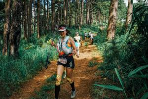 BIB: 
                            <button type="button" onclick="openModal(25743913)" class="btn btn-primary btn-sm float-right btn-popup" data-toggle="modal" data-target=".modal-high-quality">
                        <i class="fas fa-shopping-cart"></i> Add to Cart
                    </button>
                                            <button type="button" onclick="isThisMe(25743913, true)" class="btn btn-success btn-sm float-right btn-popup btn-isme hidden" data-toggle="tooltip" data-placement="bottom" title="นี่คือรูปของคุณใช่ไหม คลิกที่นี่เพื่อเอาเข้าอัลบั้ม">
                        <i class="fas fa-plus"></i> Add to album
                    </button>
                    <button type="button" onclick="isThisMe(25743913, false)" class="btn btn-warning btn-sm float-right btn-popup btn-isnotme hidden">
                        <i class="fas fa-ban"></i> Remove from album
                    </button>